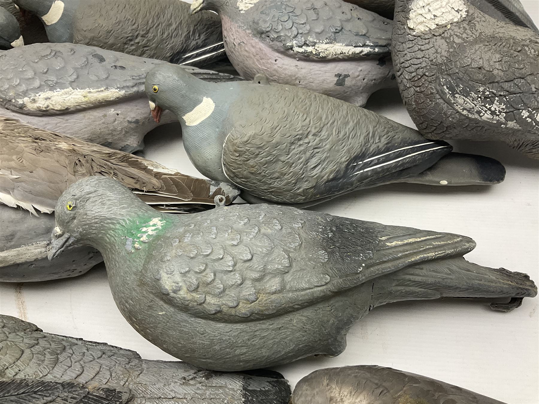 Fourteen Wood Pigeon decoys - Image 9 of 12