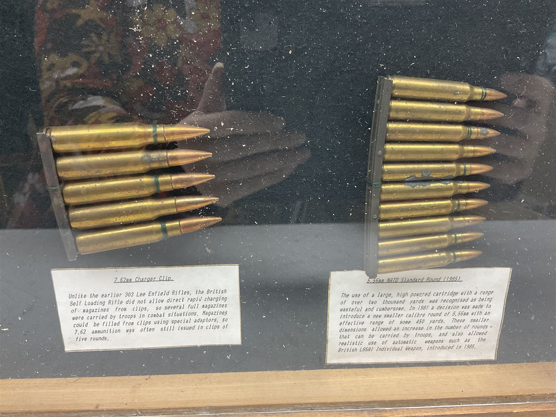 SECTION 1 FIRE-ARMS CERTIFICATE REQUIRED - Two cased specimen displays of annotated ammunition/cartr - Bild 8 aus 15