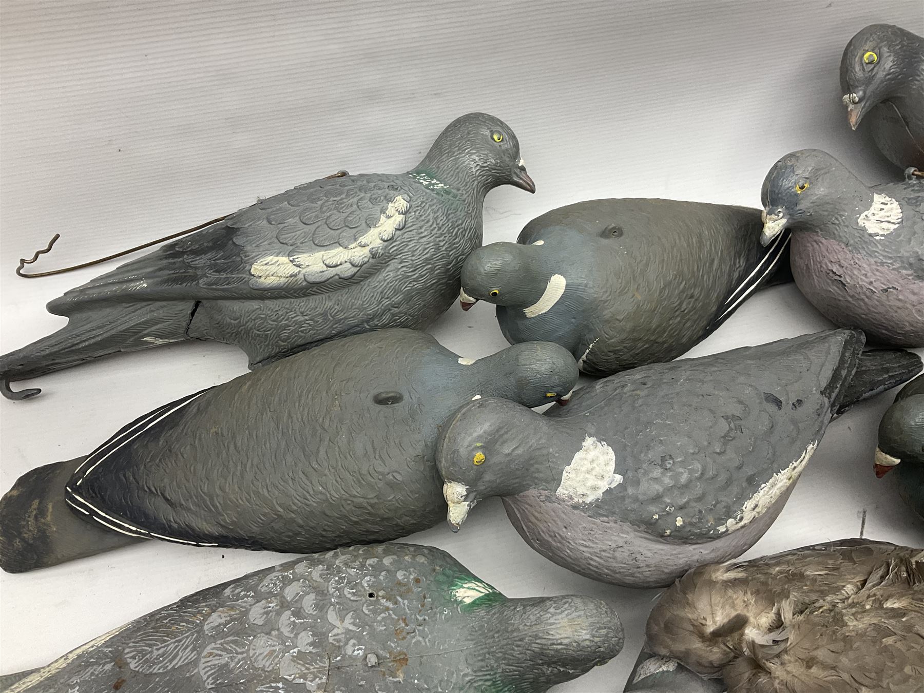 Fourteen Wood Pigeon decoys - Image 3 of 12