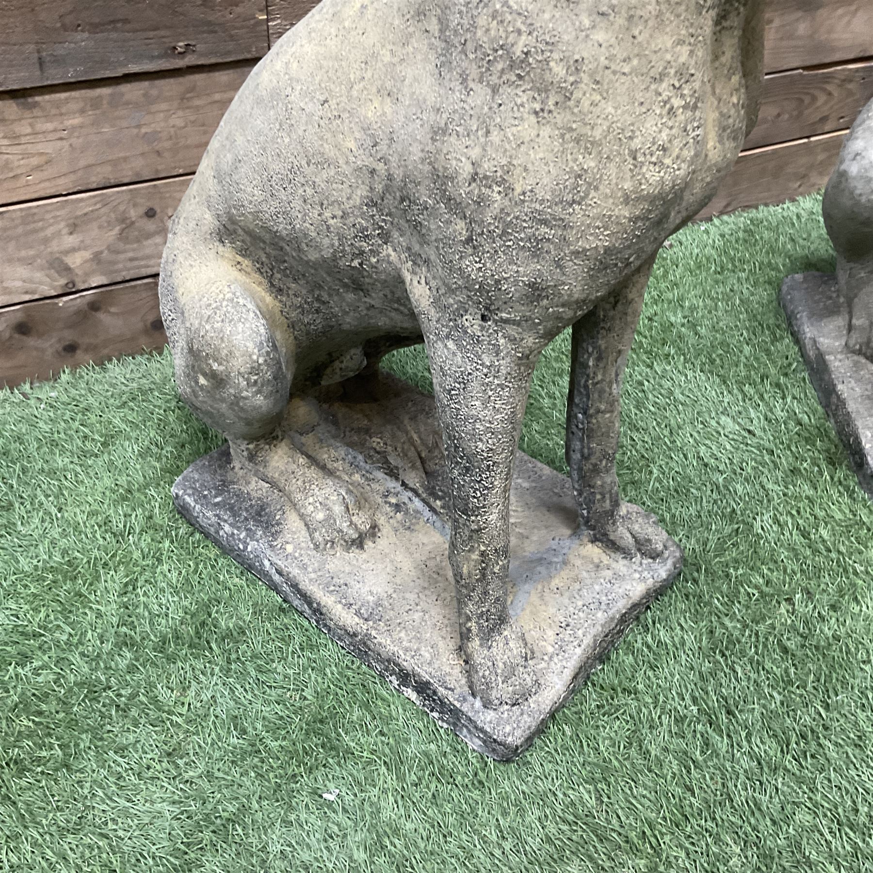 Pair of cast stone garden seated hunting dogs on rectangular plinths - Image 4 of 4