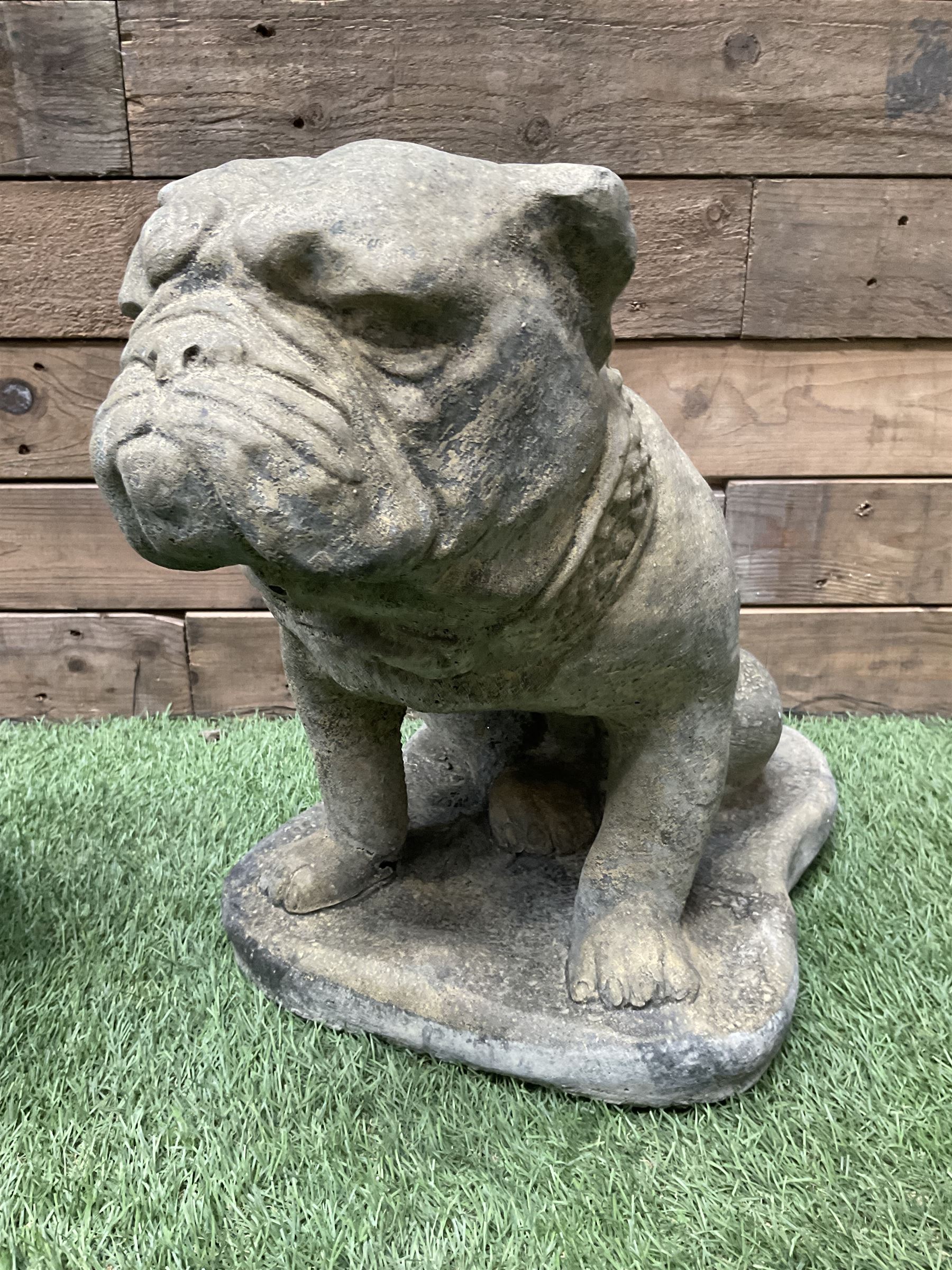 Pair of cast stone garden British bulldogs - Image 4 of 4