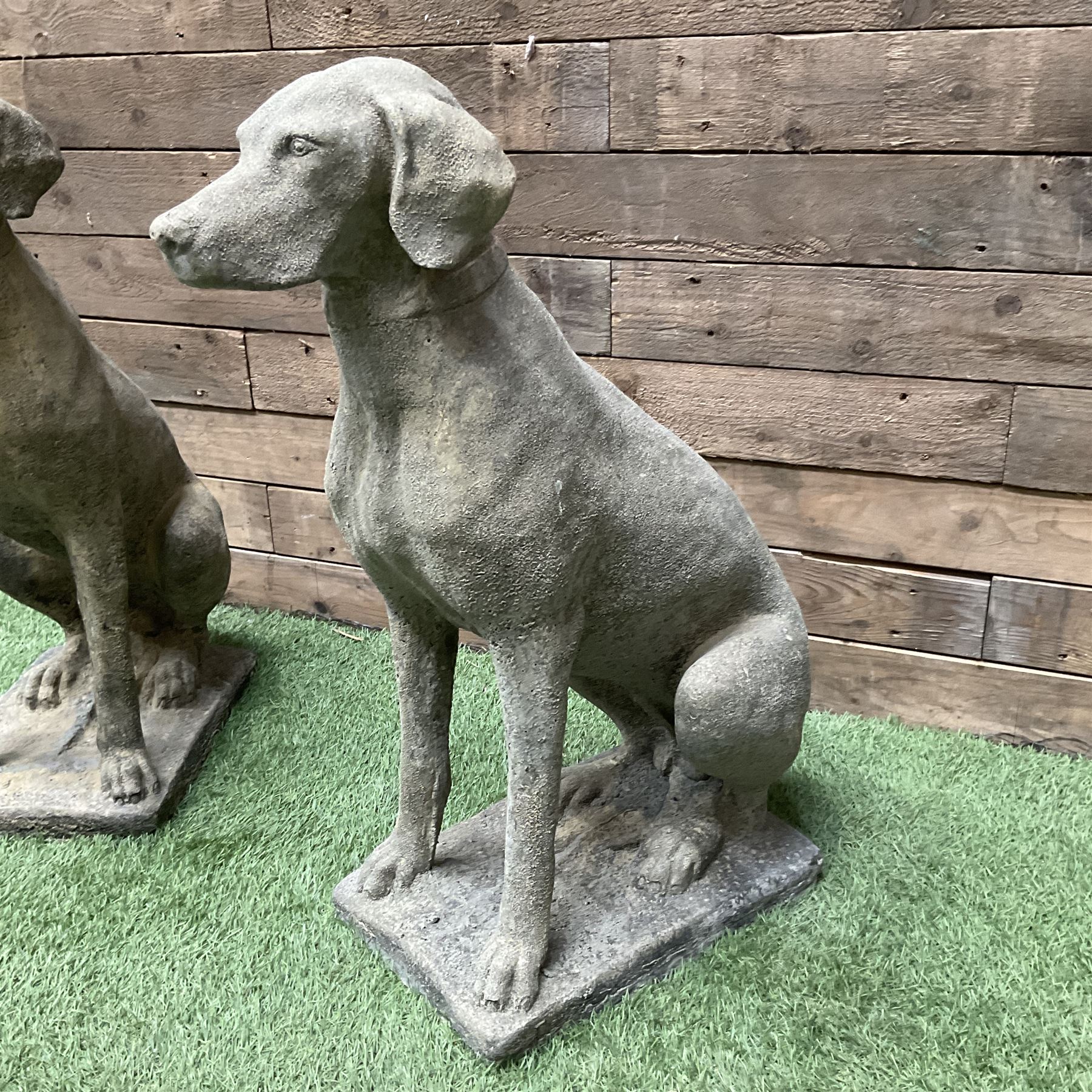 Pair of cast stone garden seated hunting dogs on rectangular plinths - Image 2 of 4