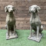 Pair of cast stone garden seated hunting dogs on rectangular plinths