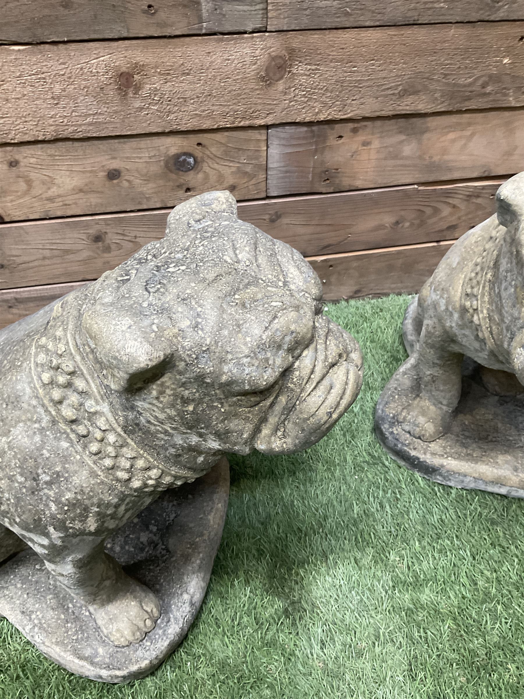 Pair of cast stone garden British bulldogs - Image 3 of 4