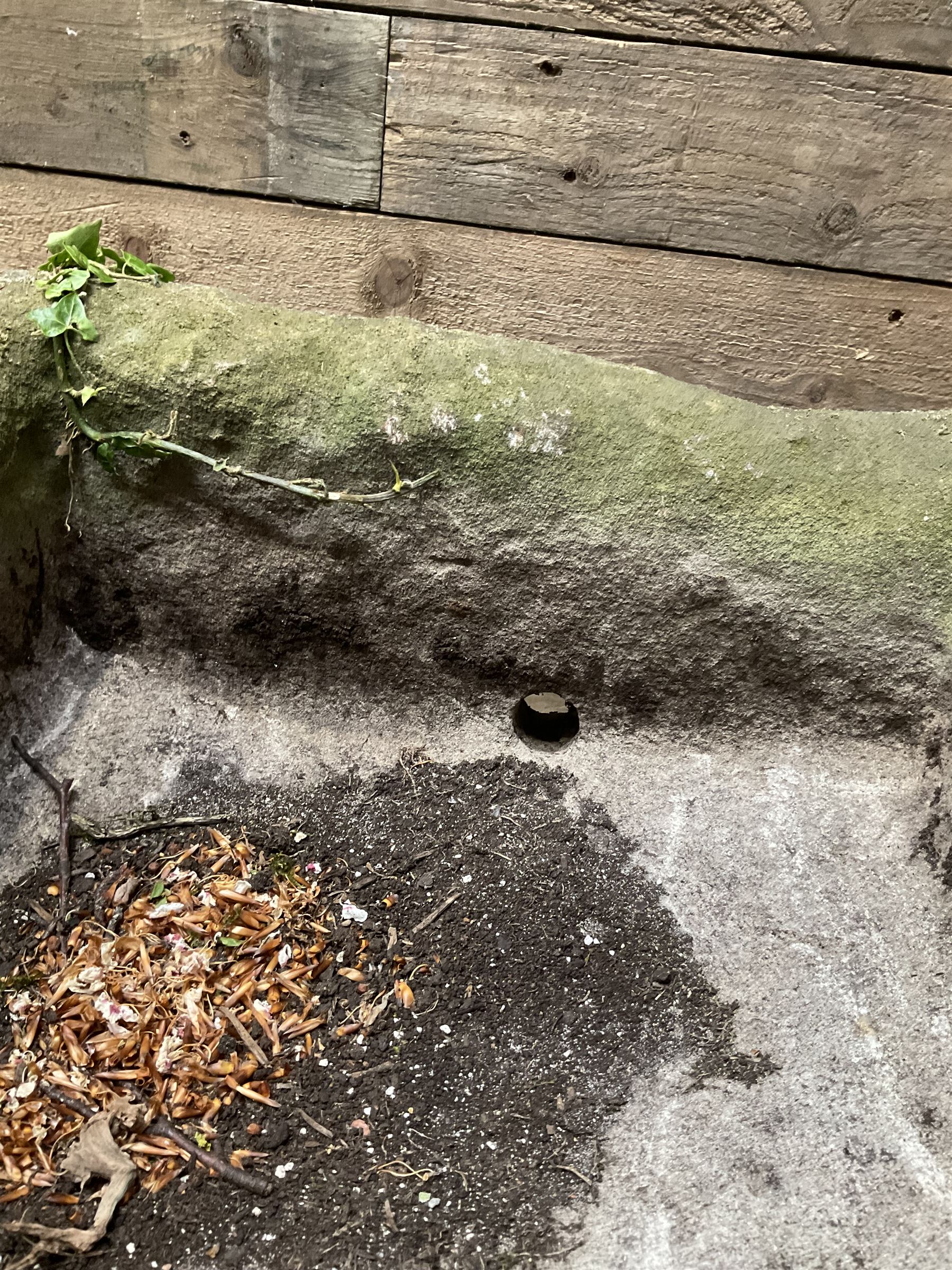 19th century hand hewn rectangular stone trough - Image 4 of 4