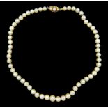 Single strand graduating cultured pearl necklace