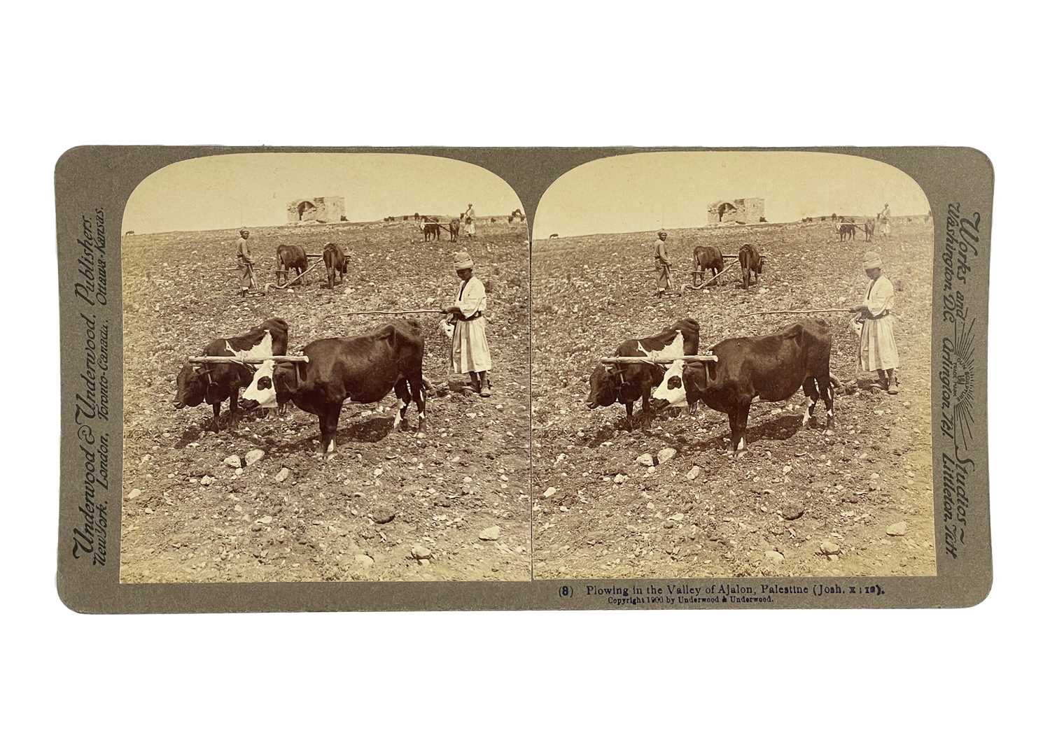 Thirty-nine stereoviews of the Holy Land, early 20th century. - Image 2 of 7