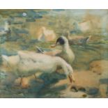 Charles Walter SIMPSON (1885-1971) Study of Ducks (Lamorna), 1913