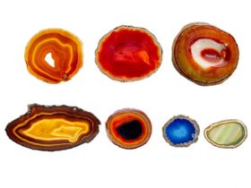 A collection of eight cut and polished agate slices.