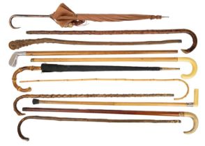 A collection of eleven walking canes and umbrellas.