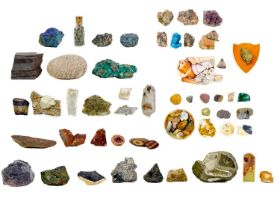 A collection of shells and mineral specimens.