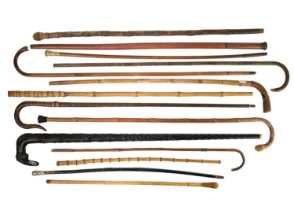 A selection of walking sticks and canes.