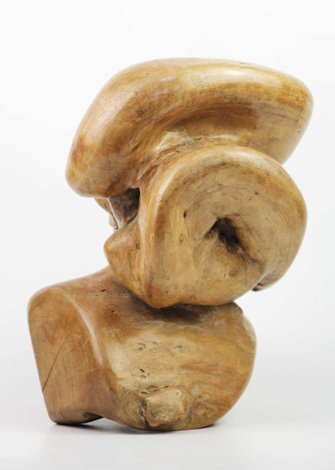 A Chinese rootwood carving of a sage, 20th century, - Image 9 of 10