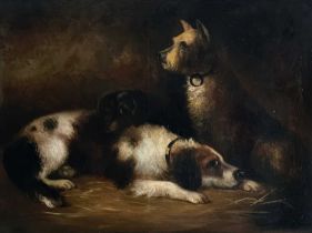 Conradyn CUNAEUS (1828-1895) Dogs at Rest