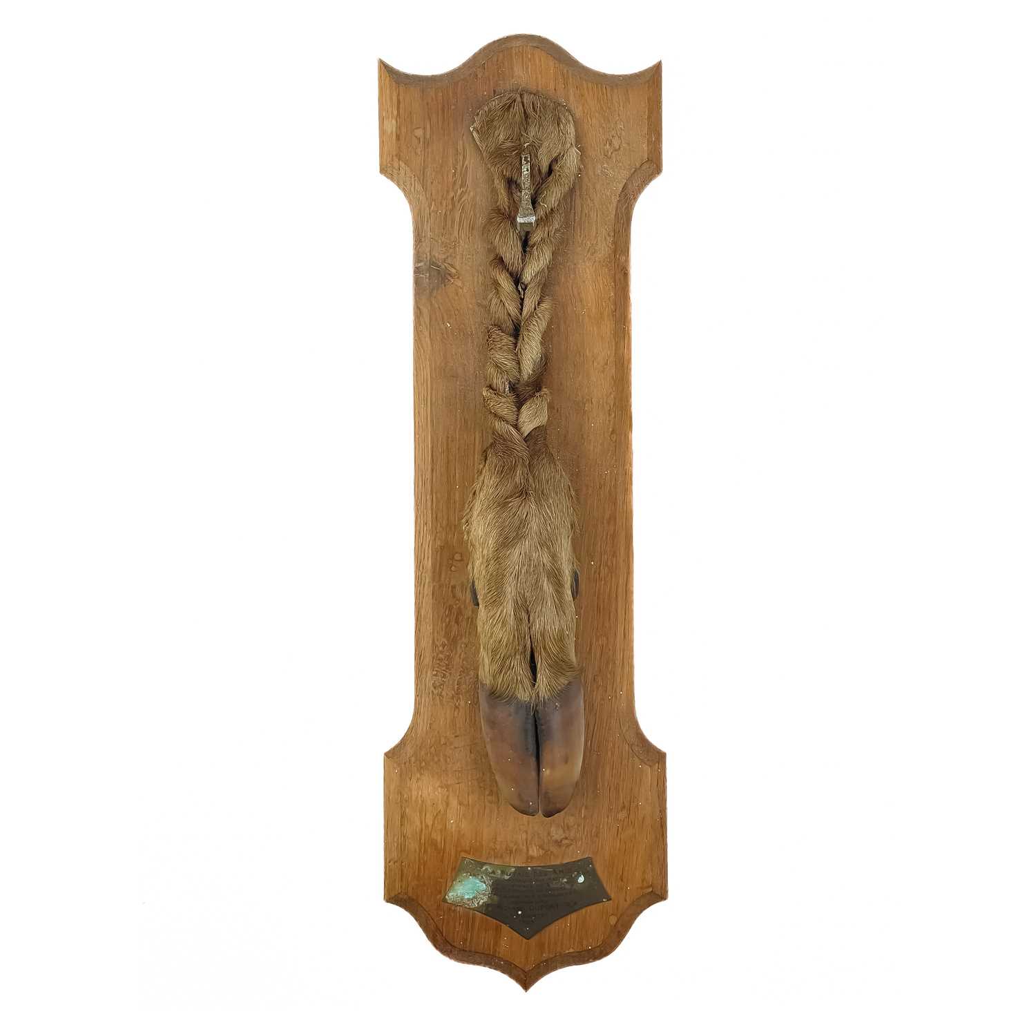 A French taxidermy deer slot. - Image 2 of 6