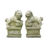 A pair of reconstituted stone Chinese lion dog garden ornaments.