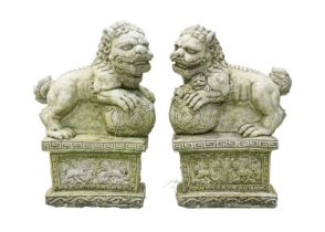 A pair of reconstituted stone Chinese lion dog garden ornaments.