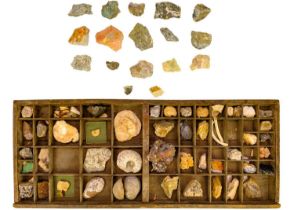 A collection of minerals and fossils.