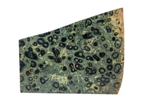 A large Kambaba jasper fossilised mineral specimen.