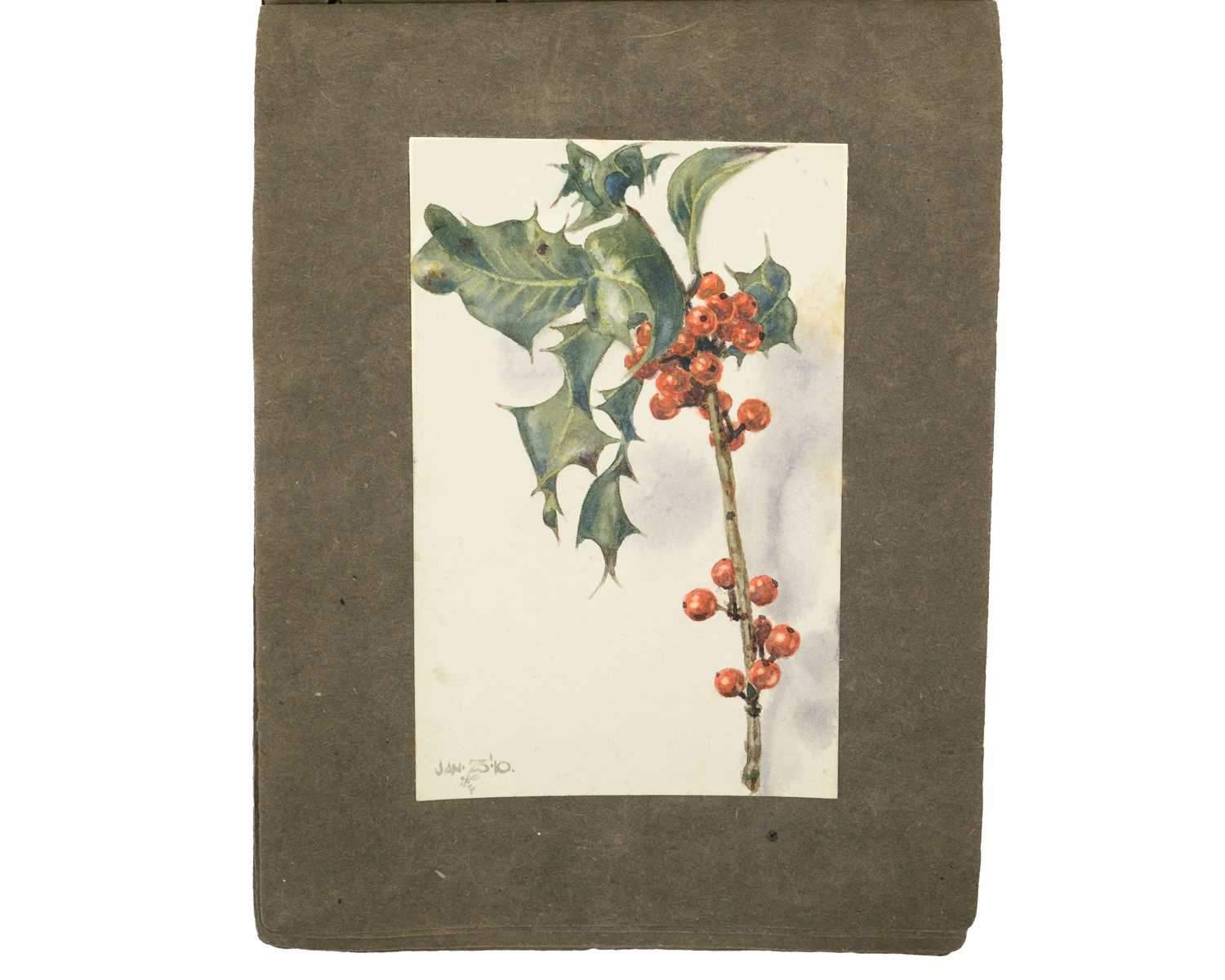 An early 20th Century sketchbook of watercolours with a botanical interest Together with another ske - Image 7 of 7