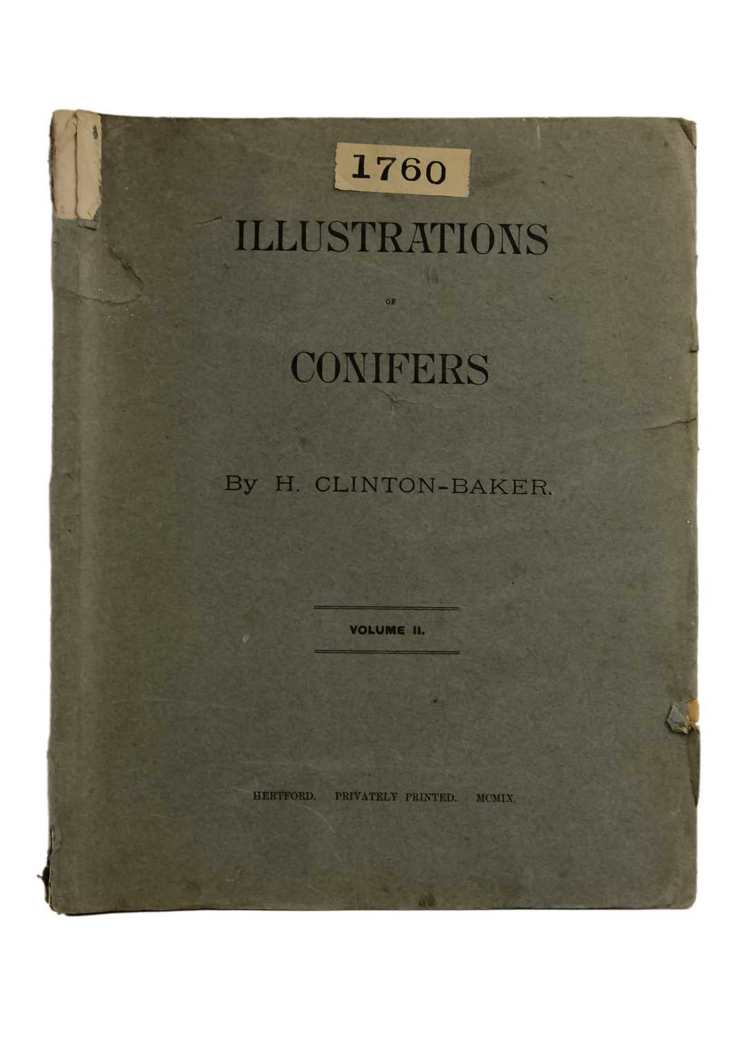 (Trees) CLINTON-BAKER, Henry William. 'Illustrations of Conifers,' - Image 2 of 9