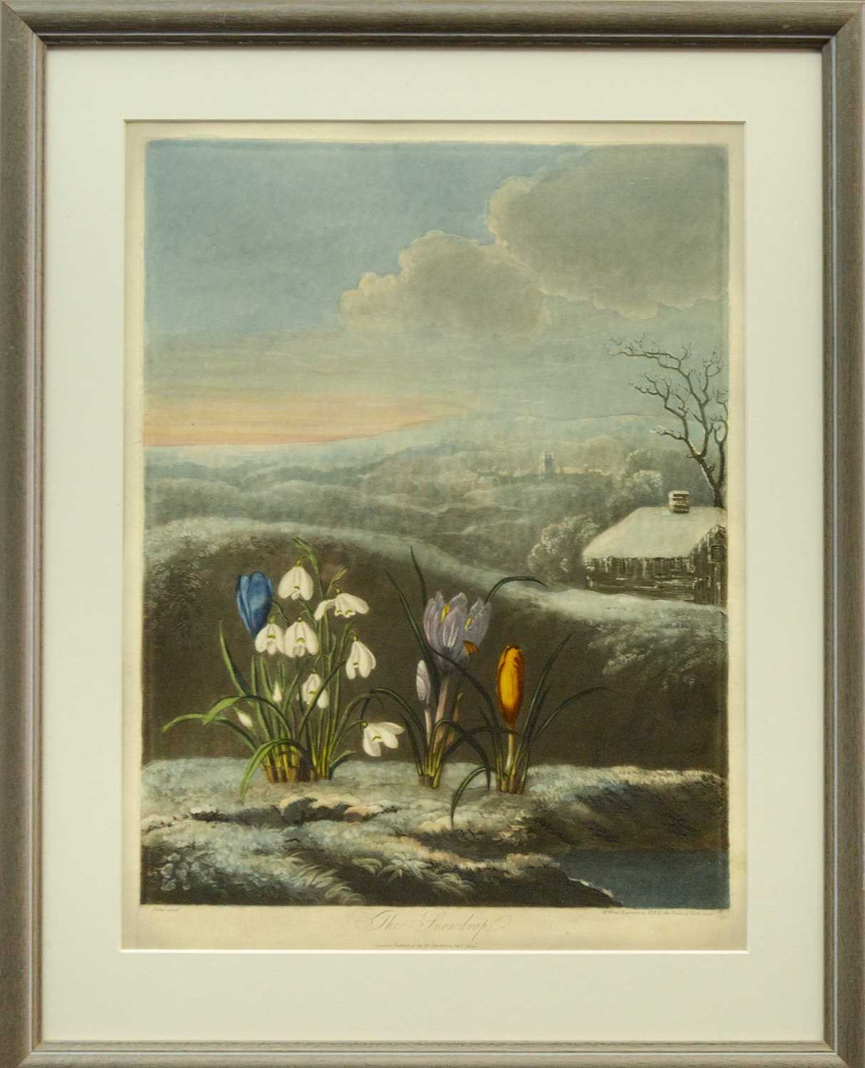 Robert John THORNTON (1768-1837) 'The Snowdrop' and 'The Dragon Arum' (From 'The Temple of Flora') - Bild 4 aus 5