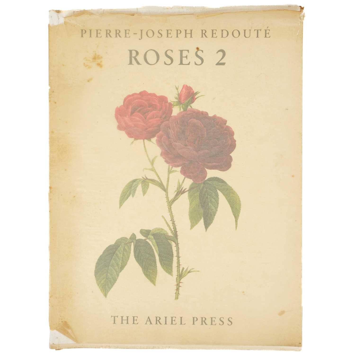 REDOUTE, Pierre-Joseph Roses 2 - Image 5 of 7