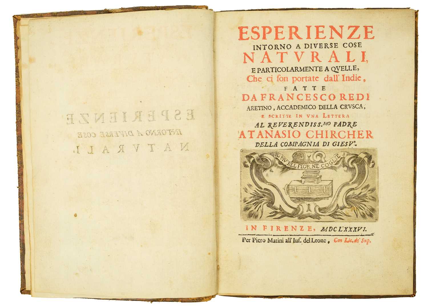 REDI, Francesco (1626-1697/98). Esperienze intorno a diverse cose naturali e particholarmente a quel - Bild 3 aus 5