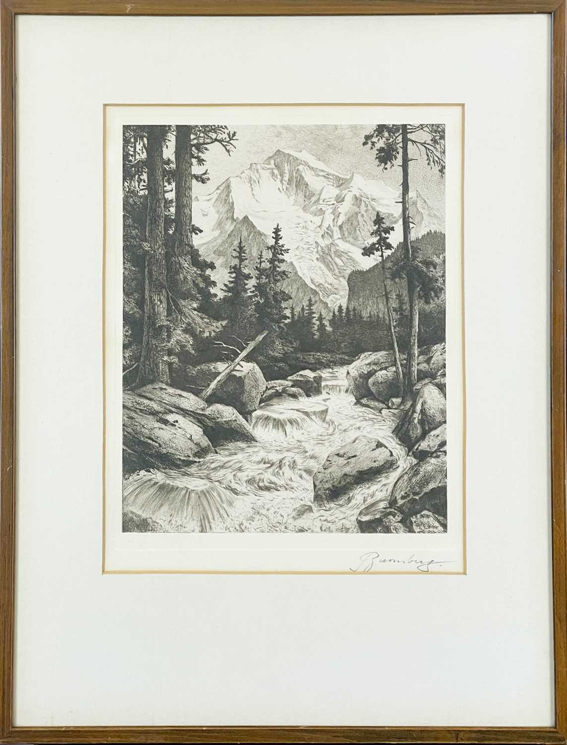 An Early 20th Century Alpine Etching - Image 2 of 3