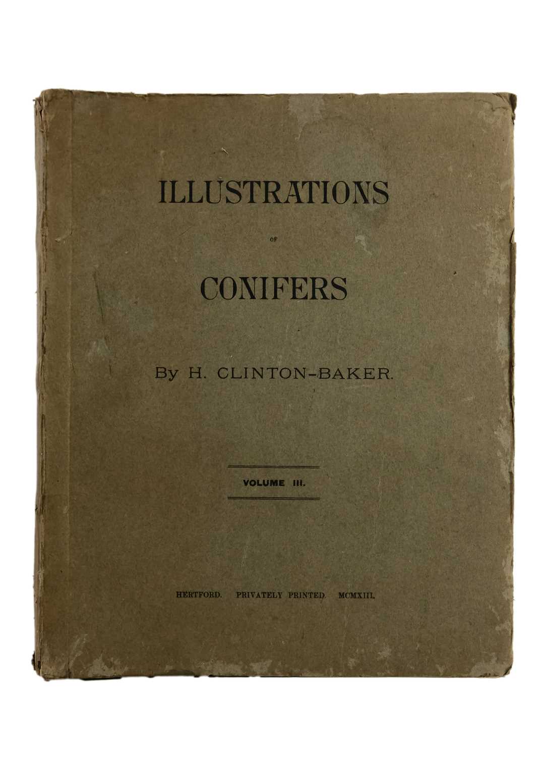 (Trees) CLINTON-BAKER, Henry William. 'Illustrations of Conifers,' - Image 3 of 9