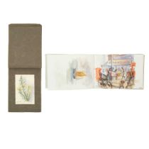 An early 20th Century sketchbook of watercolours with a botanical interest Together with another ske