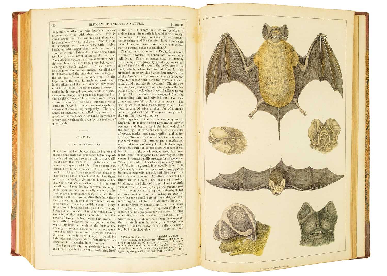 (Natural History) GOLDSMITH, Oliver 'A History of the Earth and Animated Nature,' - Image 4 of 9