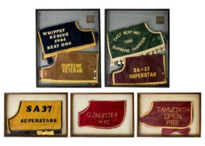 Seven dog racing coats in five frames.