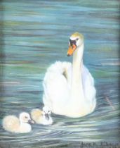 Jane B Gibson, miniature watercolour signed, study of swan and signets 7cm x 6cm