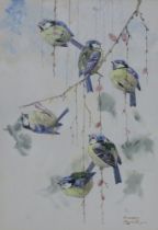 Harry Roundtree (1878-1950) watercolour signed, ornithological study 30cm x 21cm