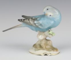 A German porcelain figure of a Budgerigar 13cm