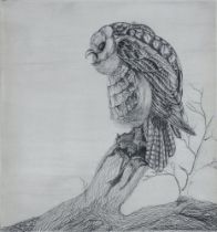 Etching, study of an owl on a tree stump, unsigned 28cm x 26cm