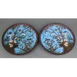 A pair of 19th Century Japanese blue and floral patterned cloisonne enamelled chargers decorated