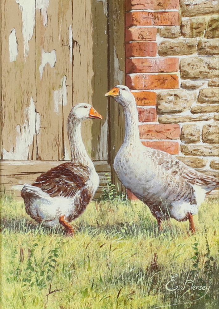 **Edward Hersey (born 1948), acrylic on board signed, geese in a farmyard 17cm x 12cm ** Please Note