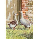 **Edward Hersey (born 1948), acrylic on board signed, geese in a farmyard 17cm x 12cm ** Please Note