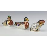 Three Royal Crown Derby Imari pattern paperweights - duck with gold stopper MMV 8.5cm Carolina