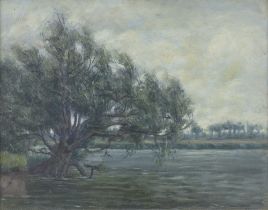 Victorian oil on board, unsigned, a riverscape with trees 25cm x 33cm