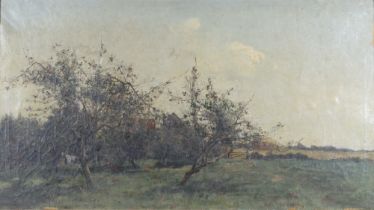 19th Century oil on canvas unsigned, study of a farm house and fruit trees 50cm x 90cm There is some