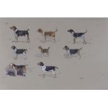 **Michael Lyne (1912-1989), gouache of Worcester Park and Buckland Beagles, 1951, inscribed in