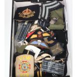 A collection of Naval and RAF cloth insignia including epaulettes