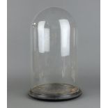 A glass dome on a wooden base 46cm h x 26cm The base is chip free