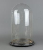 A glass dome on a wooden base 46cm h x 26cm The base is chip free