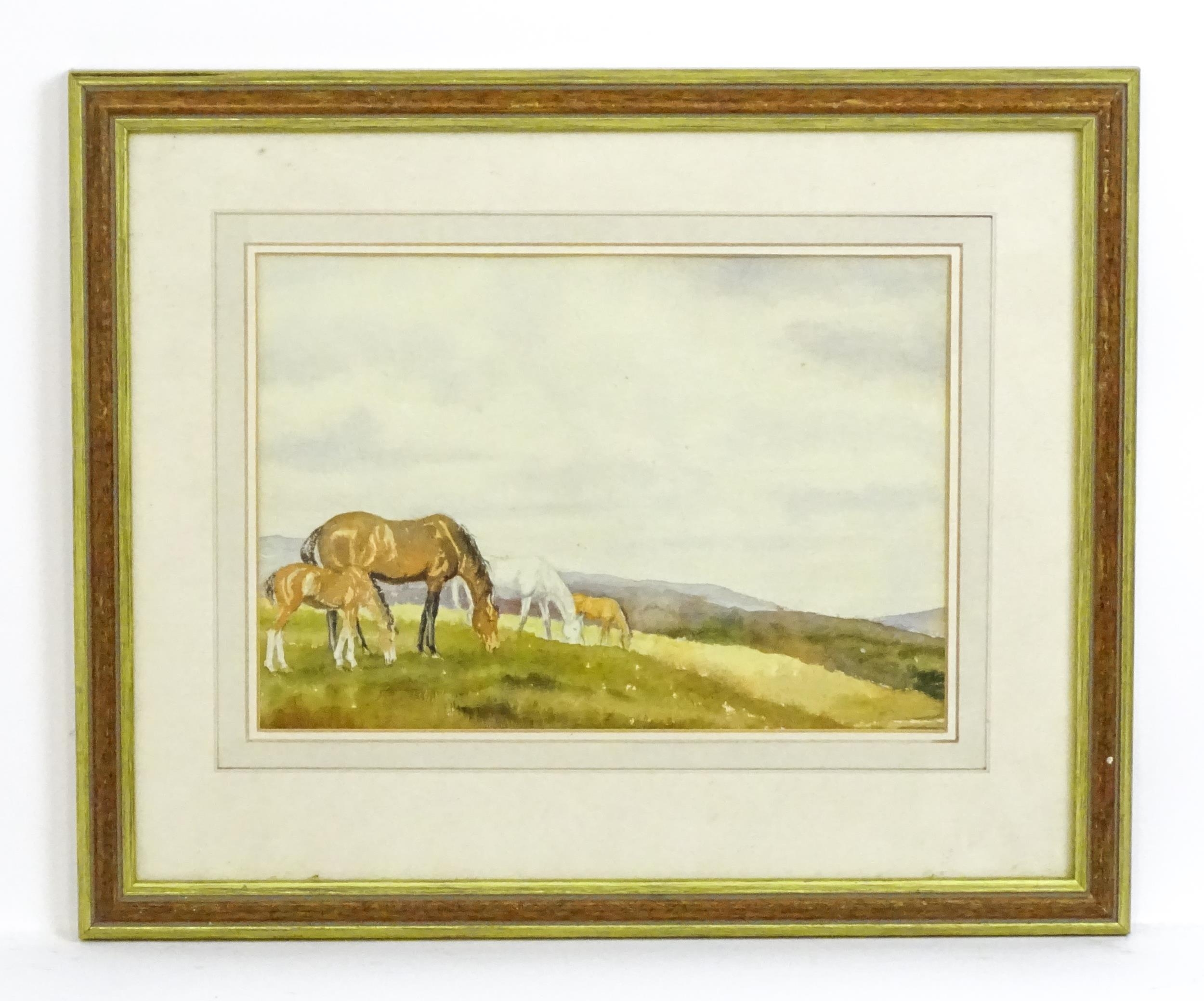 20th century, Watercolour, Horses grazing in a hilly landscape. Approx. 8" x 12" Please Note - we do