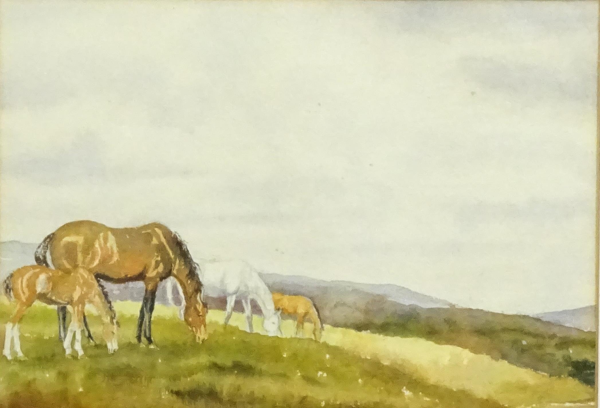 20th century, Watercolour, Horses grazing in a hilly landscape. Approx. 8" x 12" Please Note - we do - Image 3 of 3