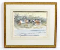 Stephen Clifton, 20th century, Watercolour, Sleeping Shoveler Ducks. Signed mid right and ascribed